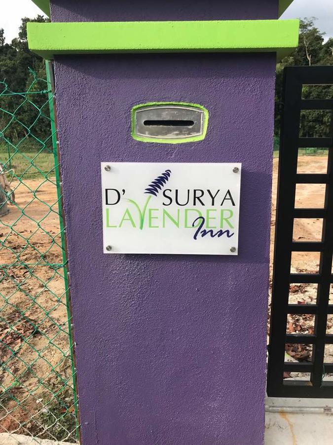 D' Surya Lavender Inn Pantai Cenang  Zewnętrze zdjęcie